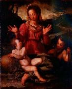 Andrea del Sarto Madonna and Child with St France oil painting artist